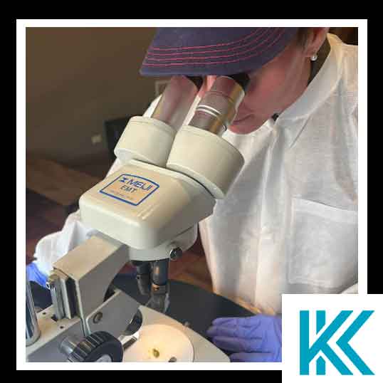Keeley looking through a microscope